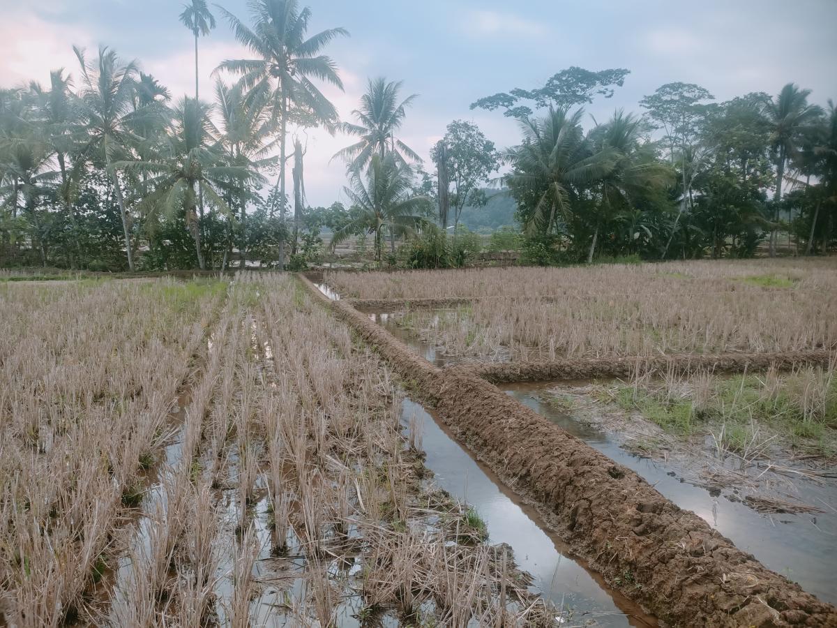 Seni Membaca "Narasi Tanah": Mengapa Investasi Properti Bukan Sekadar Membeli Lahan